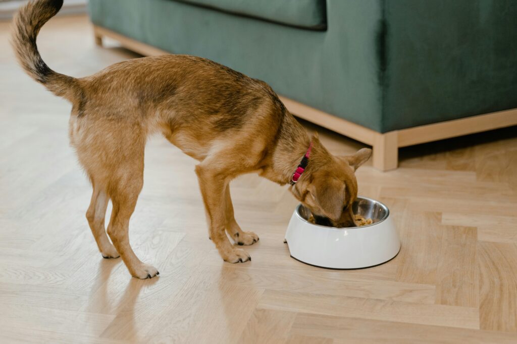 Diamond Puppy Food