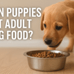 Can Puppies Eat Adult Dog Food