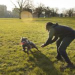 How to Crate Train a Puppy