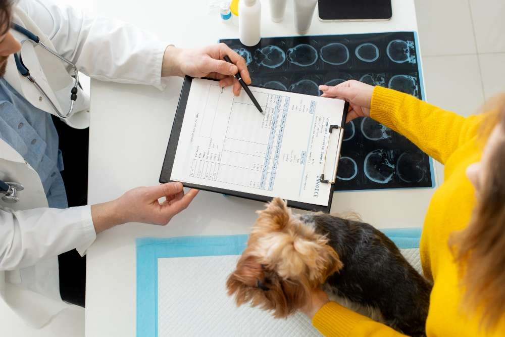 Benefits and Risk Factors of Vaccination in Puppies